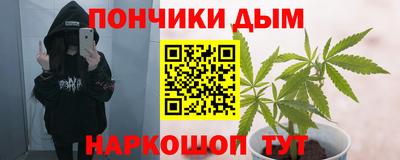 стаф Кимры