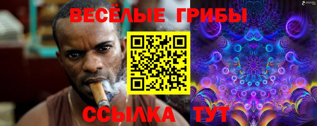 Лиски  Галлюциногенные грибы Cubensis  Вход с VPN 