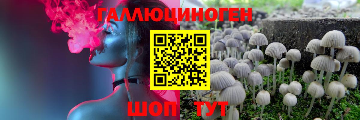 Псилоцибиновые грибы прущие грибы Лиски